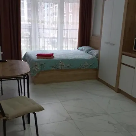 смарт студио на шевченка 60 семицвіт Apartment *